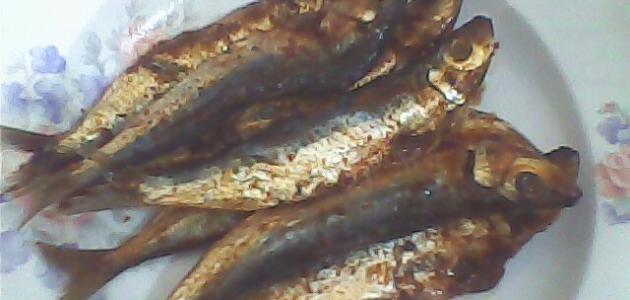طريقة قلي سمك السردين صورة مقال طريقة قلي سمك السردين