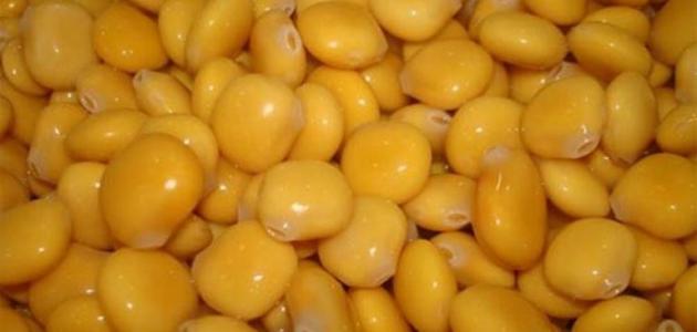 طريقة نقع الترمس صورة مقال طريقة نقع الترمس