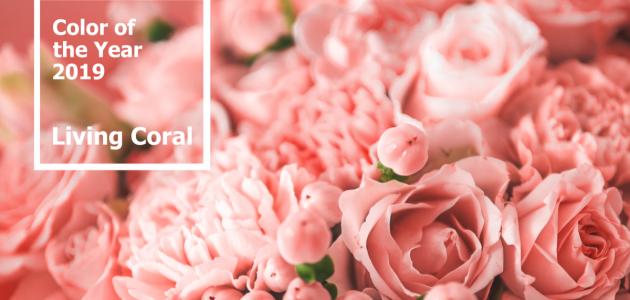 على ماذا يدل اللون الوردي صورة مقال على ماذا يدل اللون الوردي