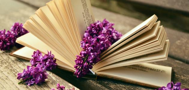 كيف أشغل نفسي بشيء مفيد صورة مقال كيف أشغل نفسي بشيء مفيد