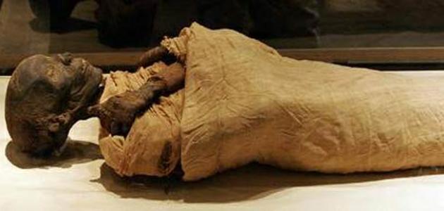 أين وجدت جثة فرعون صورة مقال أين وجدت جثة فرعون