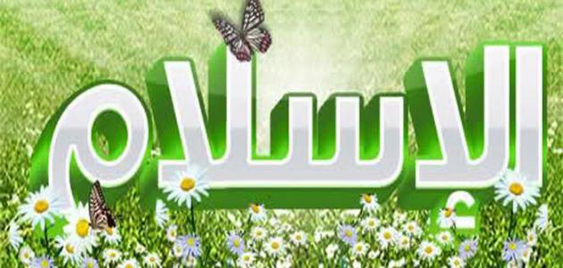 كيف دخل الإسلام إلى تركيا صورة مقال كيف دخل الإسلام إلى تركيا