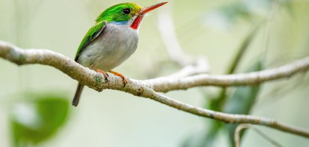 اجمل ما خلق الله صورة مقال اجمل ما خلق الله