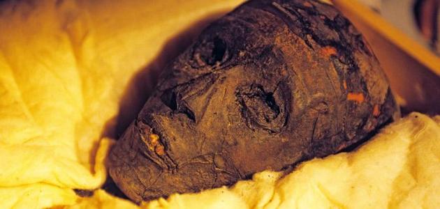 كيف مات توت عنخ آمون صورة مقال كيف مات توت عنخ آمون