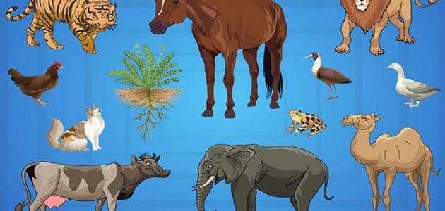 كيف تؤثر الكائنات الحية على حياتنا صورة مقال كيف تؤثر الكائنات الحية على حياتنا