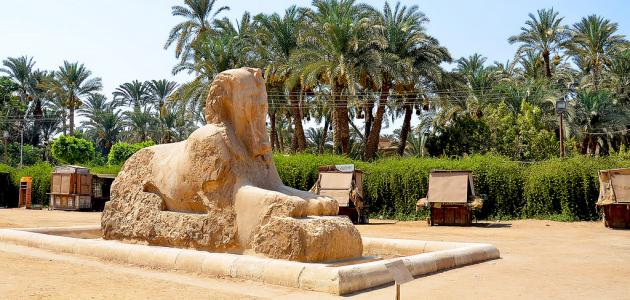 أين توجد حدائق الأهرام صورة مقال أين توجد حدائق الأهرام