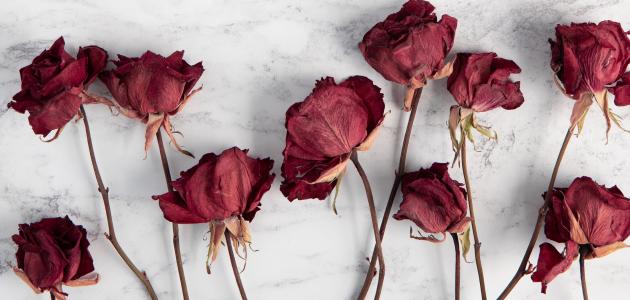 كلام عن الحب الحزين صورة مقال كلام عن الحب الحزين