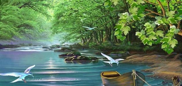 كلام عن الحياة والأمل صورة مقال كلام عن الحياة والأمل