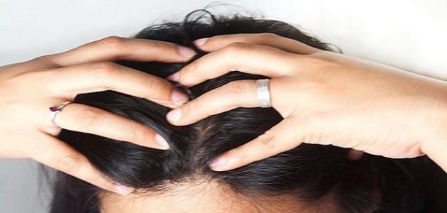 طريقة تدليك فروة الرأس صورة مقال طريقة تدليك فروة الرأس