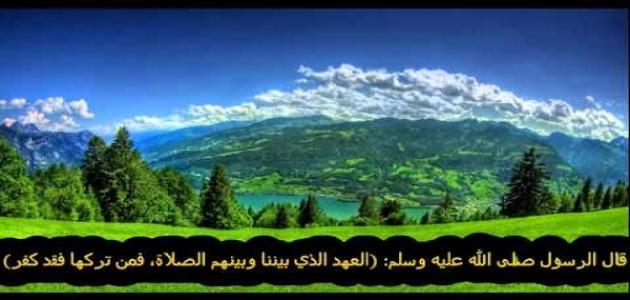 أول ما يسأل عنه العبد يوم القيامة صورة مقال أول ما يسأل عنه العبد يوم القيامة