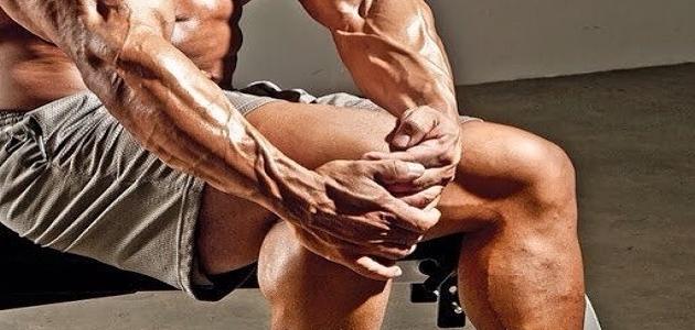 كيف نحافظ على سلامة الجهاز العضلي صورة مقال كيف نحافظ على سلامة الجهاز العضلي