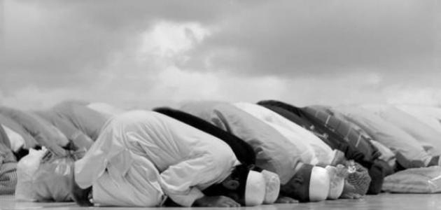 صلاة الوتر ومتى وقتها صورة مقال صلاة الوتر ومتى وقتها