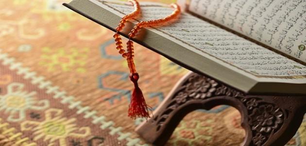 كم عدد ركعات سنة الفجر صورة مقال كم عدد ركعات سنة الفجر