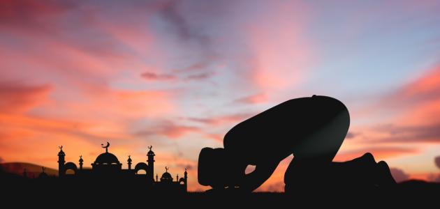 كيف أرضي الله سبحانه وتعالى صورة مقال كيف أرضي الله سبحانه وتعالى