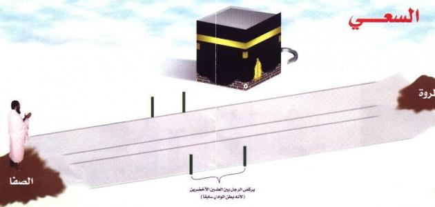 أين يقع اتجاه الصفا بالنسبه للكعبة صورة مقال أين يقع اتجاه الصفا بالنسبه للكعبة