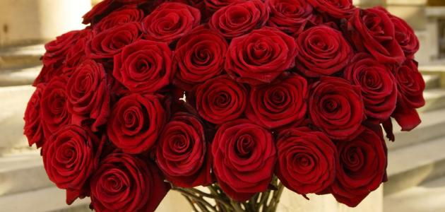 كلام عن ورد صورة مقال كلام عن ورد