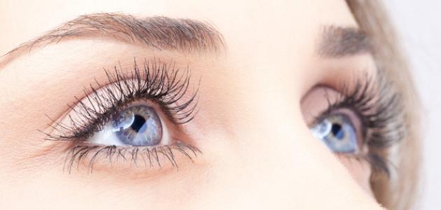 كيف تحافظ على سلامة عينيك صورة مقال كيف تحافظ على سلامة عينيك