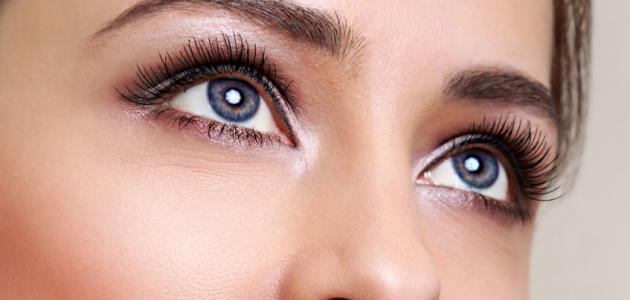 طرق نمو شعر الحواجب صورة مقال طرق نمو شعر الحواجب