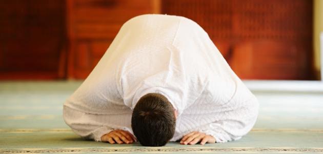 كيف تصلى صلاة الشفع والوتر صورة مقال كيف تصلى صلاة الشفع والوتر