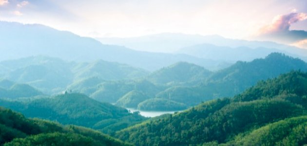 بحث حول البيئة صورة مقال بحث حول البيئة