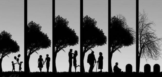 كلمات رائعة عن الحياة قصيرة صورة مقال كلمات رائعة عن الحياة قصيرة