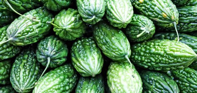 طريقة طبخ نبات الكريلا صورة مقال طريقة طبخ نبات الكريلا