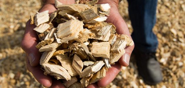 تحسين انتاج الكتلة الحيوية صورة مقال تحسين انتاج الكتلة الحيوية