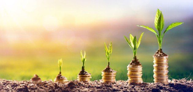 تعريف الاستثمار صورة مقال تعريف الاستثمار