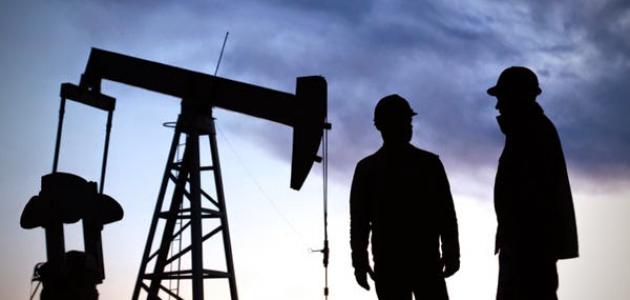 أنواع الهندسة صورة مقال أنواع الهندسة