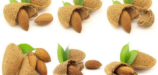 فوائد زيت اللوز المر للبشرة صورة مقال فوائد زيت اللوز المر للبشرة