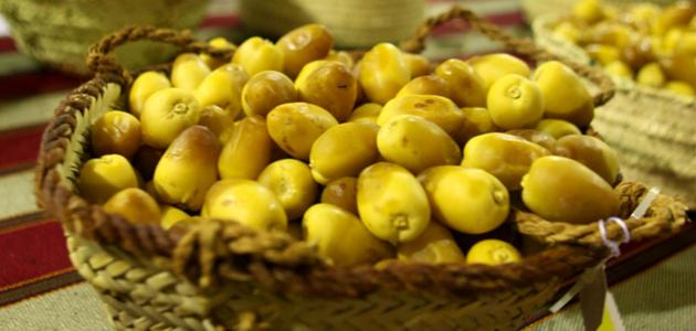 أنواع الرطب صورة مقال أنواع الرطب