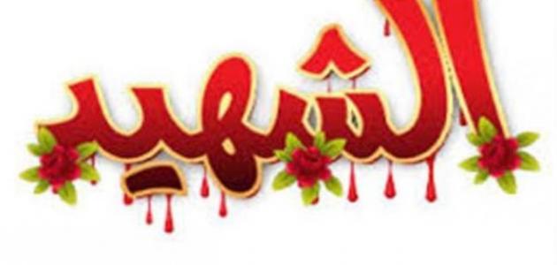 أنواع الشهداء صورة مقال أنواع الشهداء