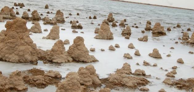 بحيرة ساوة صورة مقال بحيرة ساوة