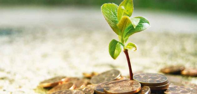 أنواع الزكاة صورة مقال أنواع الزكاة