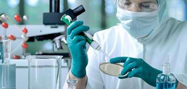 علاج نقص المناعة صورة مقال علاج نقص المناعة