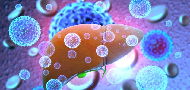 أسباب التهاب الكبد صورة مقال أسباب التهاب الكبد