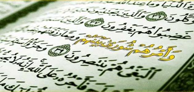 تقرير عن الشورى صورة مقال تقرير عن الشورى