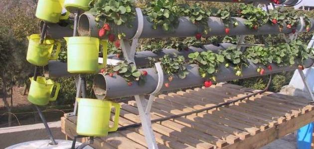 أنواع الزراعة صورة مقال أنواع الزراعة