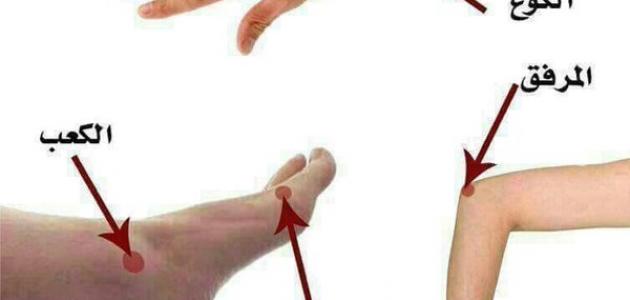 أين يقع الكوع والبوع صورة مقال أين يقع الكوع والبوع