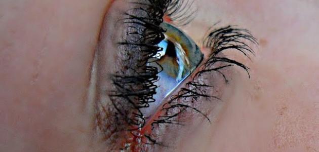 حكم مؤلمة صورة مقال حكم مؤلمة