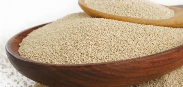 أضرار الخميرة الفورية صورة مقال أضرار الخميرة الفورية