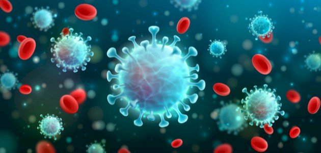 بحث عن البكتيريا والفيروسات صورة مقال بحث عن البكتيريا والفيروسات