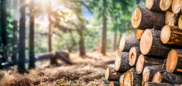 بحث عن الموارد الطبيعية صورة مقال بحث عن الموارد الطبيعية