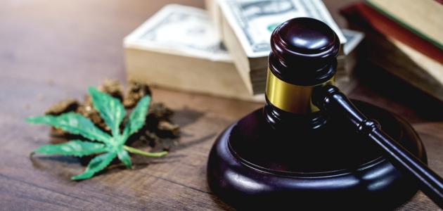 الثقافة القانونية صورة مقال الثقافة القانونية