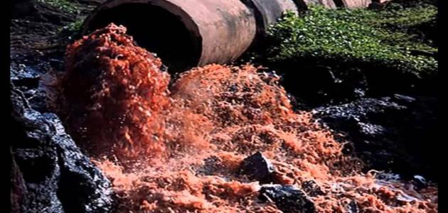 بحث حول التوازنات الطبيعية صورة مقال بحث حول التوازنات الطبيعية