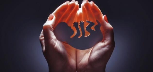 أسباب الإجهاض صورة مقال أسباب الإجهاض