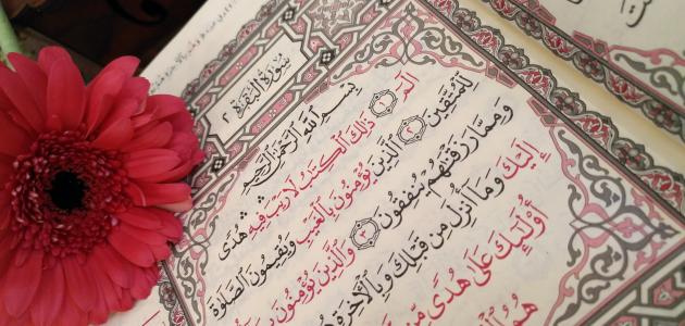 التعريف بسورة البقرة صورة مقال التعريف بسورة البقرة