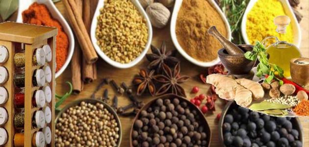 أنواع البهارات والتوابل صورة مقال أنواع البهارات والتوابل