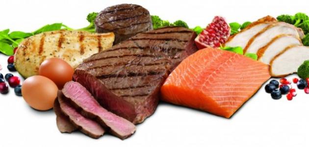 غذاء كمال الأجسام صورة مقال غذاء كمال الأجسام