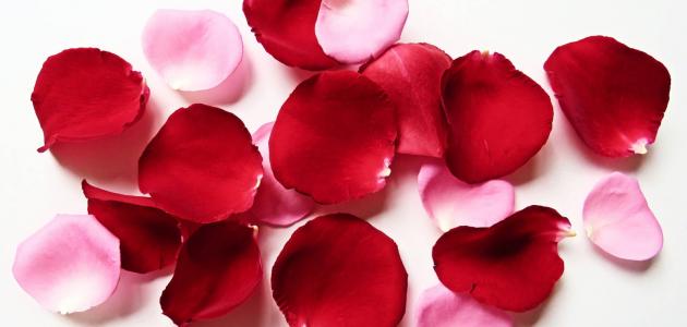 وصفات لإزالة رائحة العرق صورة مقال وصفات لإزالة رائحة العرق